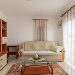 Apartman Dildo *